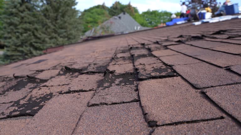 Reliable Tremonton, UT Roofing Service Solutions