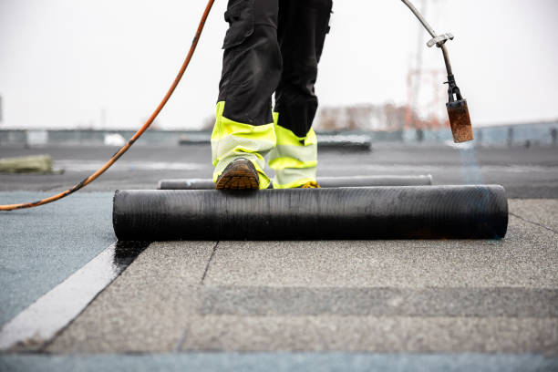 Best Roof Ventilation Installation  in Tremonton, UT